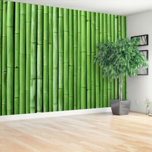 Wallpaper Bamboo Green