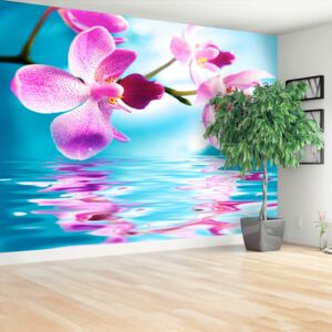 Wallpaper Orchid Water