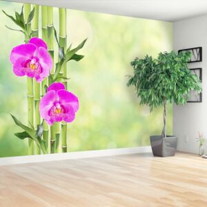 Wallpaper Orchid And Bamboo