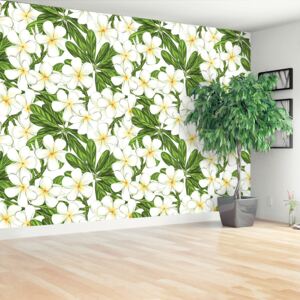 Wallpaper Plumeria Flowers