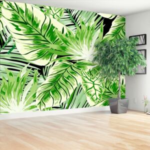 Wallpaper Monster's Palm