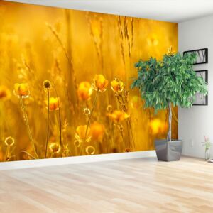 Wallpaper Meadow Flowers