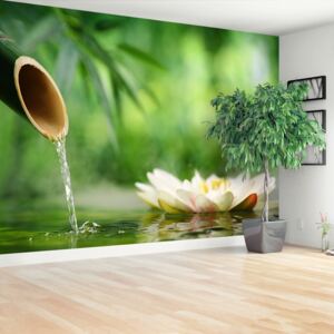 Wallpaper Bamboo Fountain