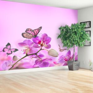 Wallpaper Orchid Butterfly