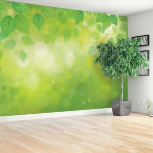 Wallpaper Green Leaves