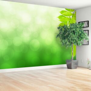 Wallpaper Green Branch