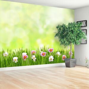 Wallpaper Grass Flowers