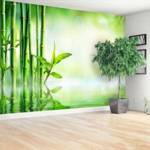 Wallpaper Bamboo Water