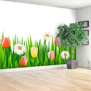 Wallpaper Tulips Grass