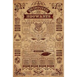 Poster Harry Potter - Quidditch At Hogwarts, (61 x 91.5 cm)
