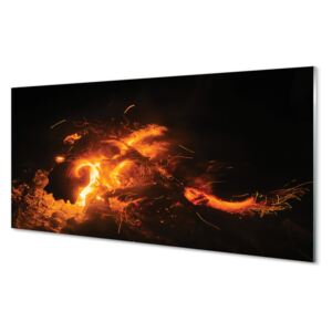 Acrylic print fire Dragon