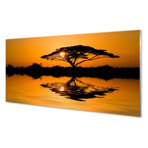 Acrylic print tree sunset