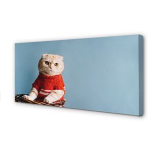 Canvas print cat seat