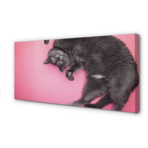 Canvas print cat lying