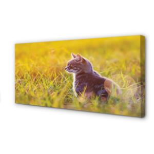 Canvas print hunting cat