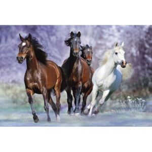 Poster Running horses - bob langrish, (91.5 x 61 cm)