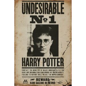 Poster HARRY POTTER - Undesirable n1, (61 x 91.5 cm)