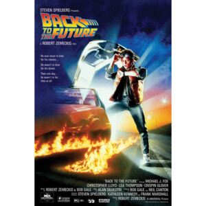 Poster BACK TO THE FUTURE, (61 x 91 cm)