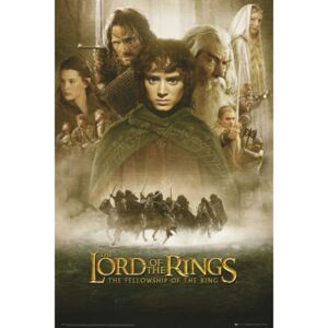 Poster LORD OF THE RINGS - fellowship, (61 x 91.5 cm)