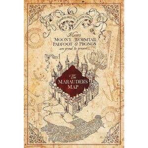 Poster Harry Potter - Maurauder's Map, (61 x 91.5 cm)