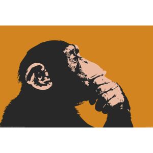 Poster Monkey - Thinking, (91.5 x 61 cm)
