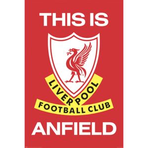 Poster Liverpool FC - This Is Anfield, (61 x 91.5 cm)