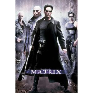 Poster Matrix - Hackers, (61 x 91.5 cm)