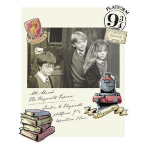Poster Harry Potter - Hermione, Harry and Ron