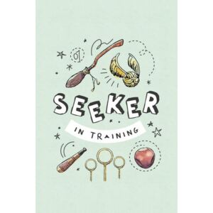Poster Harry Potter - Seeker in training