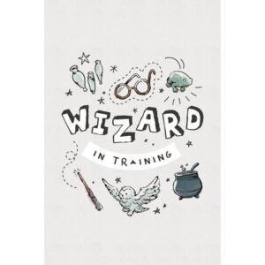 Poster Harry Potter - Wizard in training