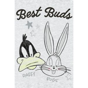 Poster Daffy and Bugs