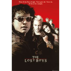 Poster The Lost Boys - Cult Classic, (61 x 91.5 cm)