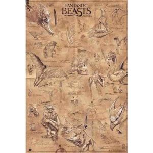 Poster Fantastic Beasts - Animals, (61 x 91.5 cm)