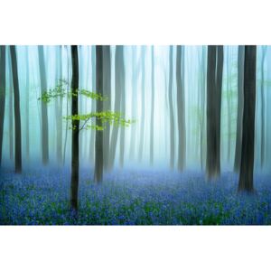 The blue forest ........, (128 x 85 cm)