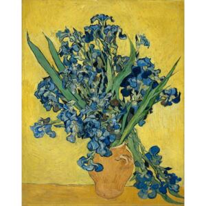 Vincent van Gogh - Fine Art Print Irises, 1890