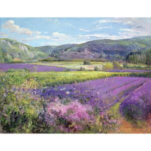 Timothy Easton - Fine Art Print Lavender Fields in Old Provence
