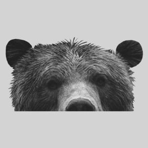 Grey bear, (96 x 128 cm)