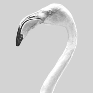 Grey bird, (96 x 128 cm)