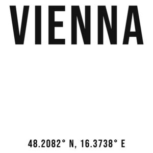 Vienna simple coordinates, (96 x 128 cm)
