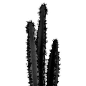 BLACK CACTUS 4, (96 x 128 cm)