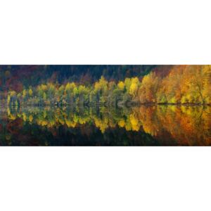 Autumnal silence, (60 x 23.2 cm)