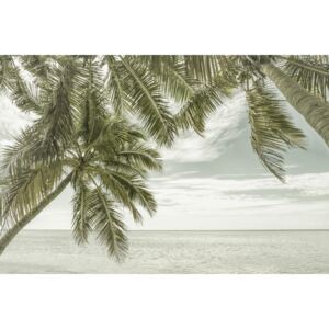 FLORIDA Vintage Oceanview, (128 x 85 cm)