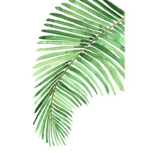Watercolor palm leaf, (85 x 128 cm)