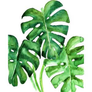Watercolor monstera leaves, (85 x 128 cm)