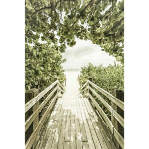 Bridge to the beach with mangroves | Vintage, (85 x 128 cm)