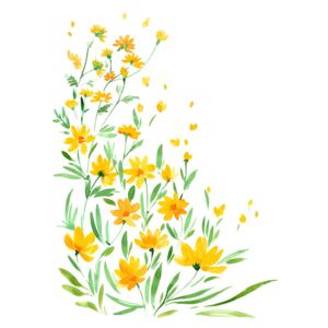 Yellow watercolor wildflowers, (85 x 128 cm)