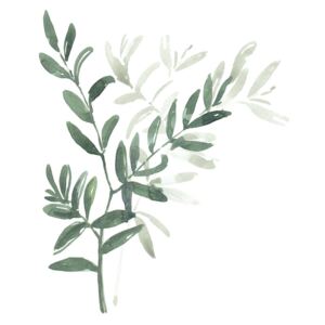 Watercolor laurel branch, (96 x 128 cm)