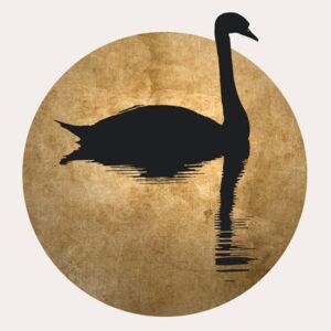 Illustration The Swan, Kubistika