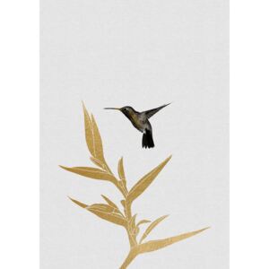 Illustration Hummingbird & Flower II, Orara Studio