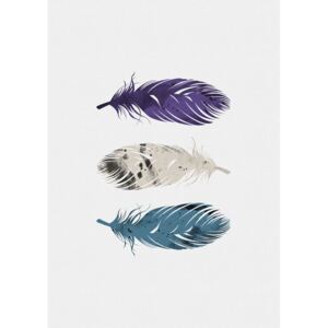 Illustration Blue Purple White Feathers, Orara Studio